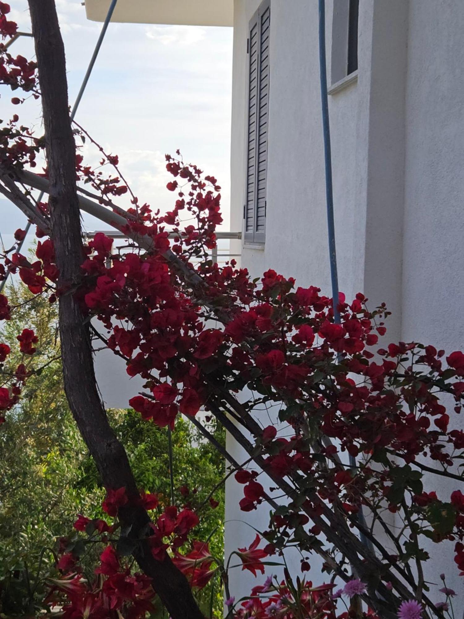 Nora'S Guesthouse Sarande Exterior photo