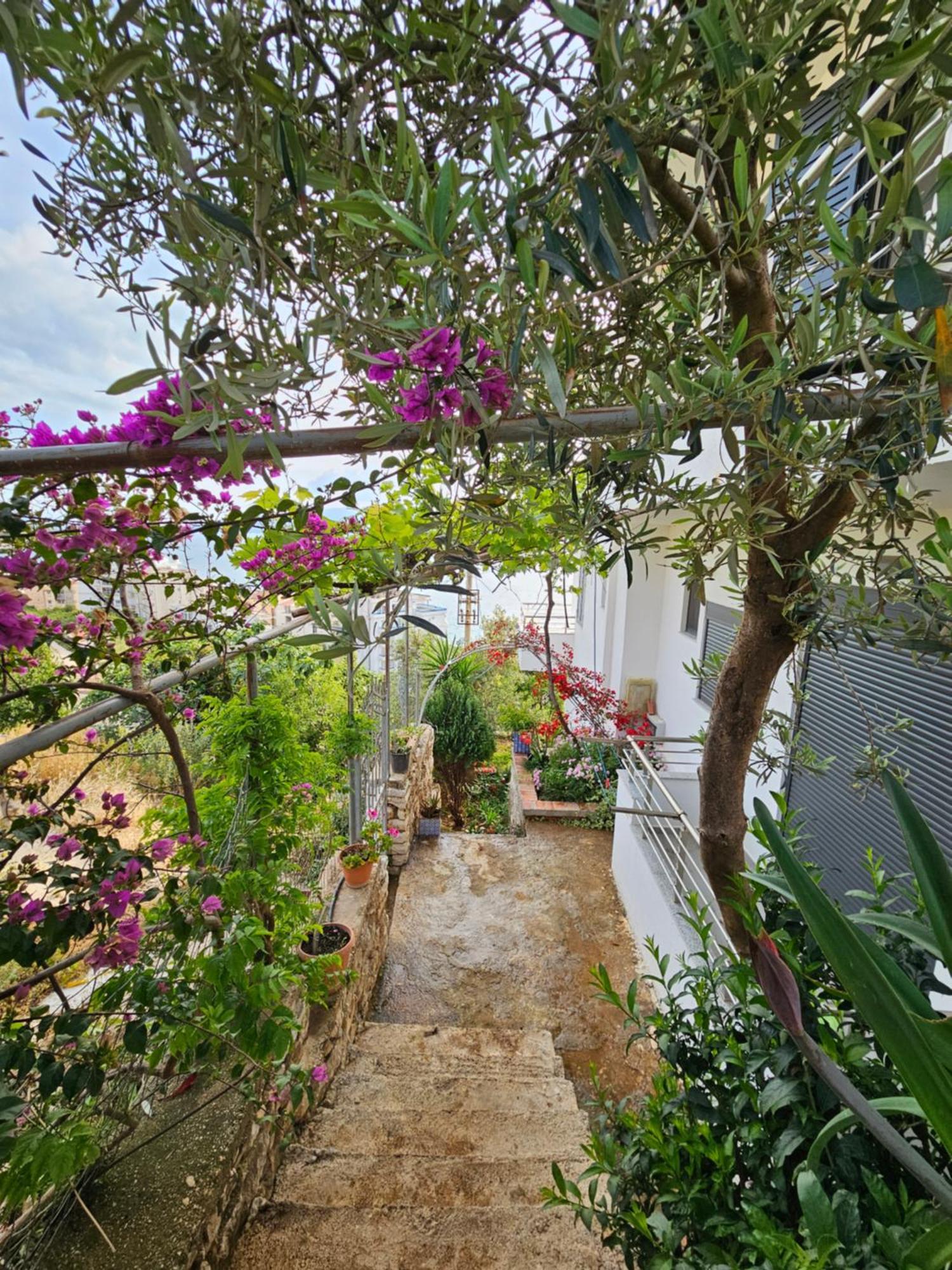 Nora'S Guesthouse Sarande Exterior photo